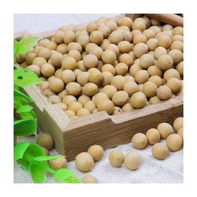 China Appropriate Price Dried Good Quality Fresh Organic Raw Soymilk Oval Soybean for sale