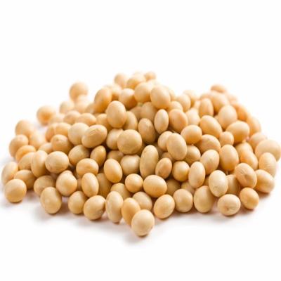 China Hot Sale Good Quality Whole Grain Dry Organic Bulk Soybeans for sale