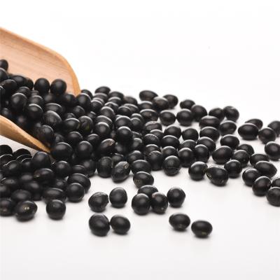 China Wholesale Dry Customized Healthy Good Quality Whole Grain Black Beans for sale