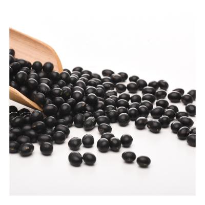 China Professional Manufacture Cheap Whole Grain Dried Healthy Black Beans for sale