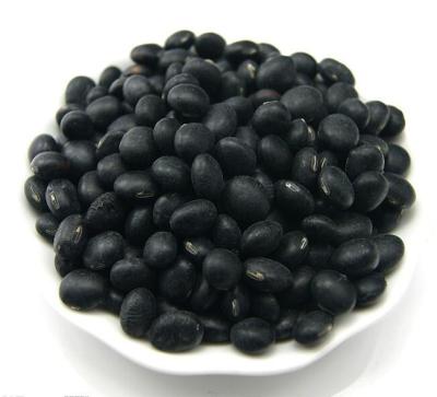 China Chinese Bulk Dried Black Beans Dried In Soybeans With Moderate Price for sale