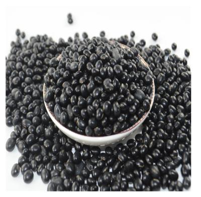 China Top Selling Various Good Quality Vacuum Packing Dry Black Soy Bean Organic Black Beans for sale