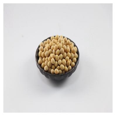 China Wholesale Cheap Yellow Soybean Dry Bean Common Dry Beans Yellow from factory directly for sale