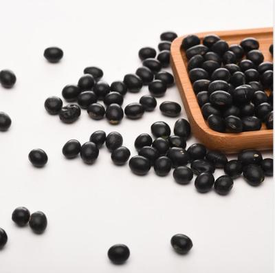 China Dry 2021 Manufacturers Bean Dry Black Kidney Beans Black Wholesale for sale