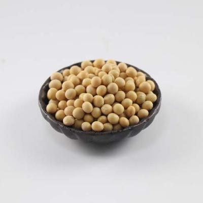 China 2021 Hot Selling New Product Dried Bean Yellow Soybeans Yellow Soya Beans for sale