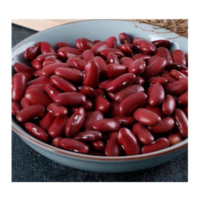 China Buyer 2021 Dry Dark Red Dwarf Beans Cultivation Small Red Kideny Rajma With Lower Price for sale