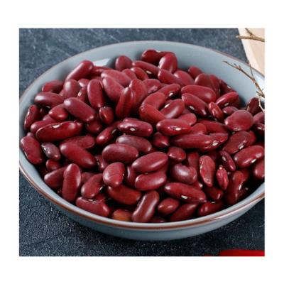 China Dried Non Tall Sugar Beans Cheap British Red GMO Nutritious Red Kidney Beans for sale