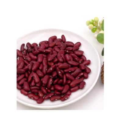 China Wholesale Bulk Organic Dark Red Kidney Kidney Beans Dried For Canned Foods for sale