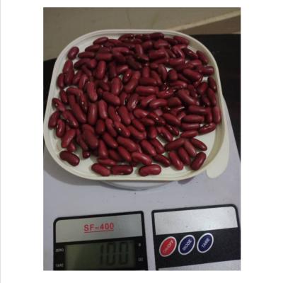 China Wholesale 200-220pcs Dwarf Beans British Dark Red Kidney Beans for sale