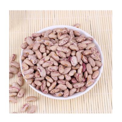 China 2021 New Culture Kidney Bean High Quality Light Speckled Dry Dwarf Bean for sale