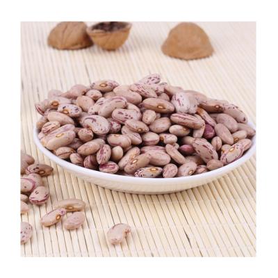 China 97% Purity Dried Light Spotted Bush Beans Sugar Beans / Pinto Beans For Canning for sale