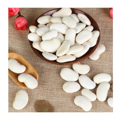 China Wholesale price 2021 dry new dwarf bean cultivation white beans for sale