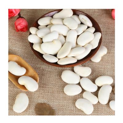 China Different Size Kidney Bean Best Selling White Sugar Dried Chinese White Beans Large for sale