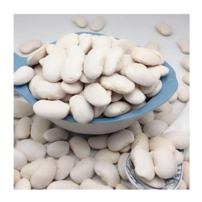 China Newst 2021 dry grow the best quality white beans long form bush beans for sale