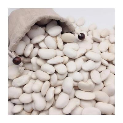 China Wholesale Sugar Beans Bulk Dried Large White Kidney Beans for sale