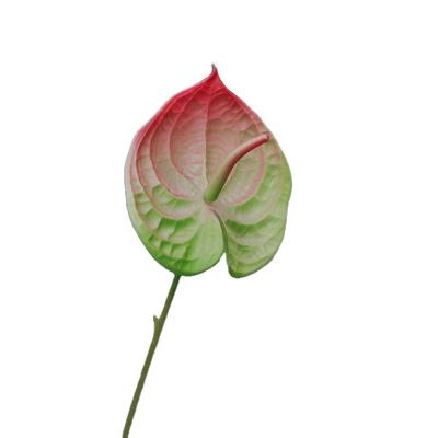 China Hot Sale Home Wedding Decor Bridal Shop Home Decoration Flowers Real Touch Artificial Anthurium For Flower Arrangement for sale