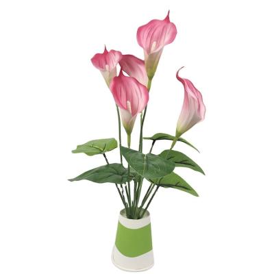 China Beautiful 5 Heads Artificial Silk Colorful Calla Lily Flower For Artificial Flower Home Decoration Wedding Party Decorative Flower Bouquet for sale