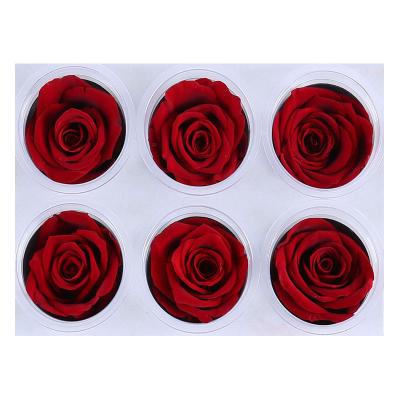 China 5-6cm Environmental Protection Green Wine Red Wedding Decorations Rose Preserved Flower Wall Eternal for sale