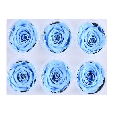 China Natural touch Kunming Yunnan 5-6cm preserved rose flower head for flower wall for sale