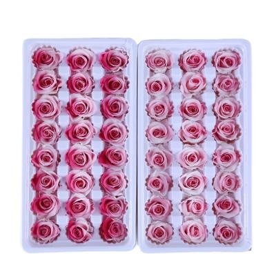 China Beautiful colorful enchantd valentine gift customized eternal preserved rosas eternas rose in box for sale