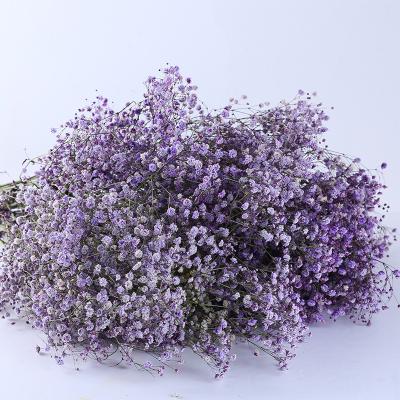 China Real Flower 2022 Natural Most Popular Dried Flowers Preserved Flowers Baby's Breath Gift for sale