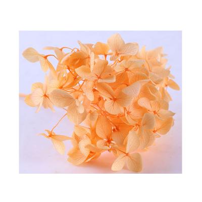 China Wholesale high quality environmental protection green sunset orange hydrangea preserved flowers for sale