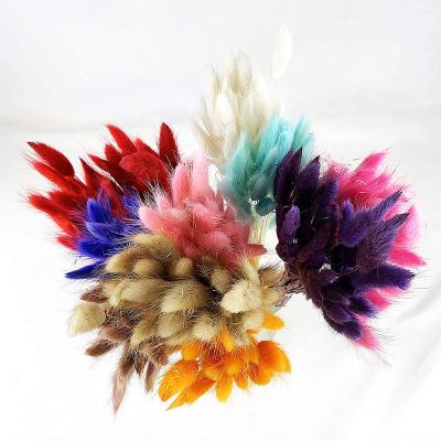 China Fashional Wholesale High Quality Decorative Flower Bunny Tail Grass Dry Bunch for sale