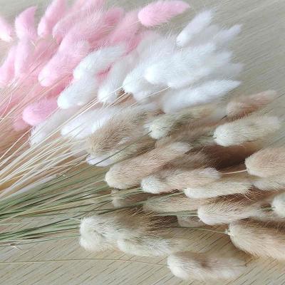 China Fashional 2022 New Decoration Wedding Dried Flower Bouquets Preserves Rabbit Tail Grass for sale