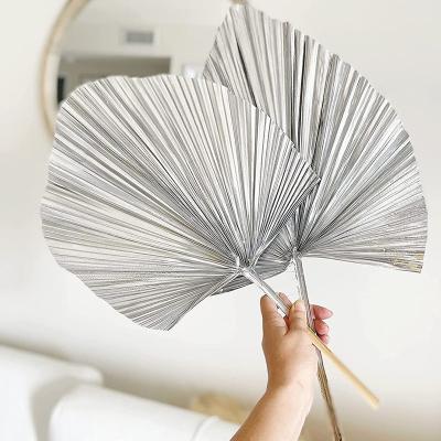 China Fashional Factory Direct Sales Dried Flower Bouquets Preservation Permanent Cattail Leaf Fan for sale