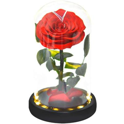 China High Quality Hot Seller Fresh Rose Gift Preservation Glass Dome Long Term Cover 20cm*12cm for sale