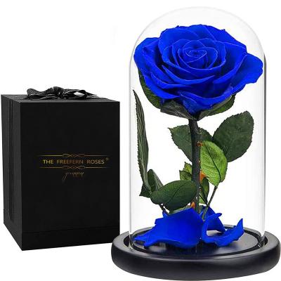 China Real Romantic Preserved Rose High Quality Hot Selling Gift For Girlfriend Preserved Flower Glass Rose Dome for sale