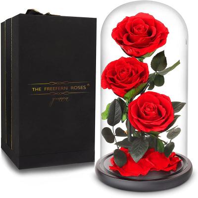 China Mini Crystal Glass Dome Preserved Rose Flower of Real Rose Wholesale High Quality Mother's Day romantic preserved for sale