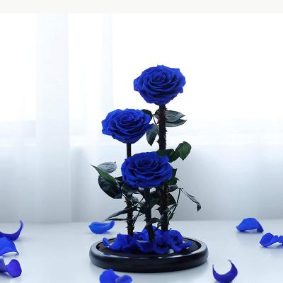 China Fashional Wholesale Imported valentines Murano Glass Cover Giant Immortal Flower Rose Dome for sale