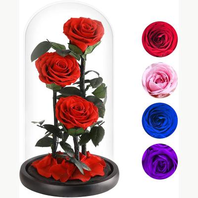 China 100% Real Natural Low Price Flower Glass Rose Dome Decorative Gifts High Quality Natural Fresh Flower for sale