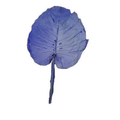 China Natural Fresh Leaves Wedding Home Decorative Monstera Leaves Artificial Palm Leaves for sale