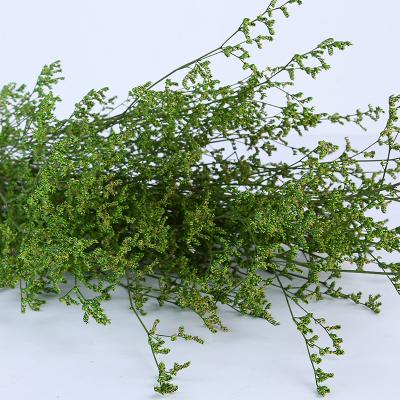 China Green environmental protection manufacturer wholesale class a preserved lover grass, real fresh lover grass flower for sale