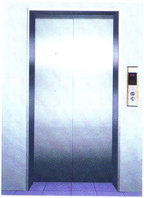 China Elevator Decoration , Passenger Center Opening Landing Door for sale