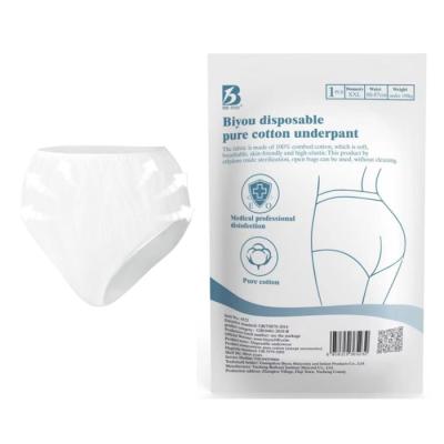 China Antibacterial Nonwoven Triangle Briefs Women Adult Disposable Menstrual Underwear for sale