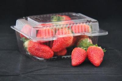 China Plastic Folding Box for Fruits for sale