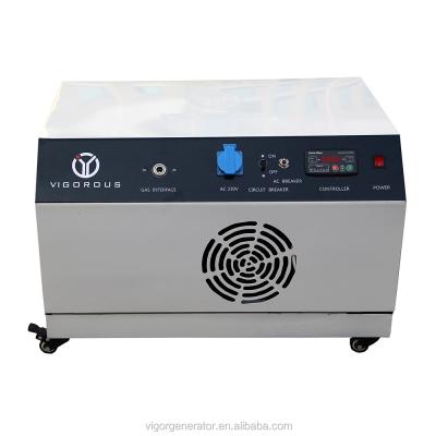 China 3000 Watt Permanent Magnet Inverter Generator RV3000J Gas Powered for sale