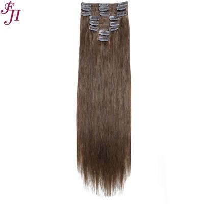 China Silky Straight Wave FH Clip In Hair #6 100% Human Natural Seamless Double Drawn Raw Hair Clip In Hair Extensions for sale