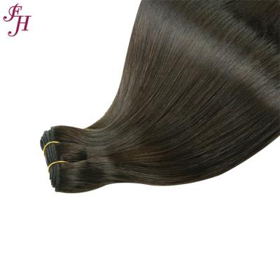 China Best Selling Color 3N Hair Weft 100% Wave FH Hair Weft Silky Straight Hair Weft Extensions for sale