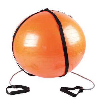 China Nice Waist/Slim Waist/Wholesale 65cm Height Exercise Yoga Balance Plastic Round Ball With Two Recessed Handles for sale