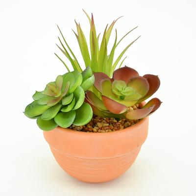 China Young Victory Contemporary 2021 Hot Sale Indoor Decorative Artificial Ceramic Plants Pot Artificial Succulent Plants for sale