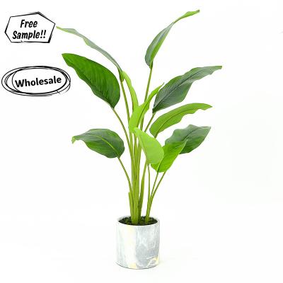 China 2021 Contemporary Hot Sale Cheap Indoor Decorative Artificial Plants Young Victory Artificial Tree for sale