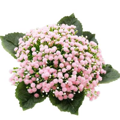 China Babysbreath Home Package Artificial Flower Decoration Artificial Flowers for sale