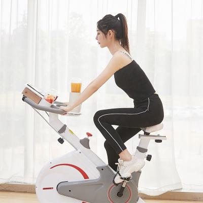 China Indoor EXI bike manufacturer sales gym cycle universal good quality spining exercise bike for sale