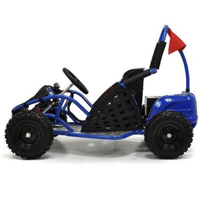 China 48v 1000W Outdoor Amusement Park Fast Electric Racing Go Karts For Sale (PN80GK 1000W) 13*5-6 1 for sale