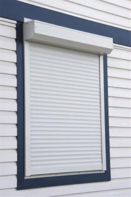 China ODM Hot Selling Automatic Roller Shutters Window for sale