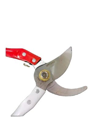 China High cost effective anti-skid handle tree shears, tree shear manufacturers, fruit tree shears garden grafting pruner for sale